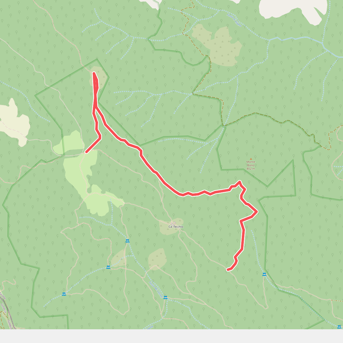 Sentiero del Cerro 276A