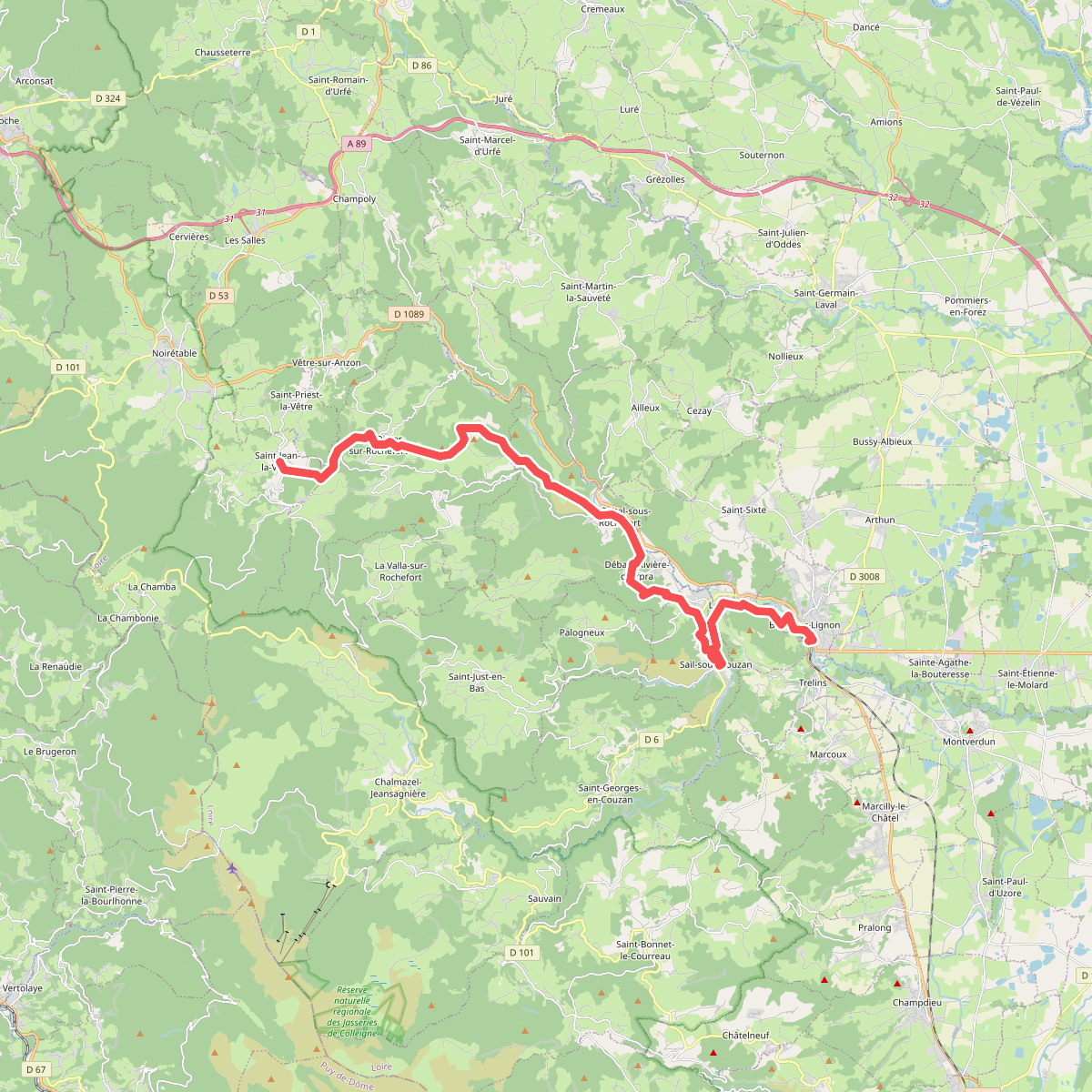 Chemin de Montaigne de Boën à Saint-Jean-la-Vêtre