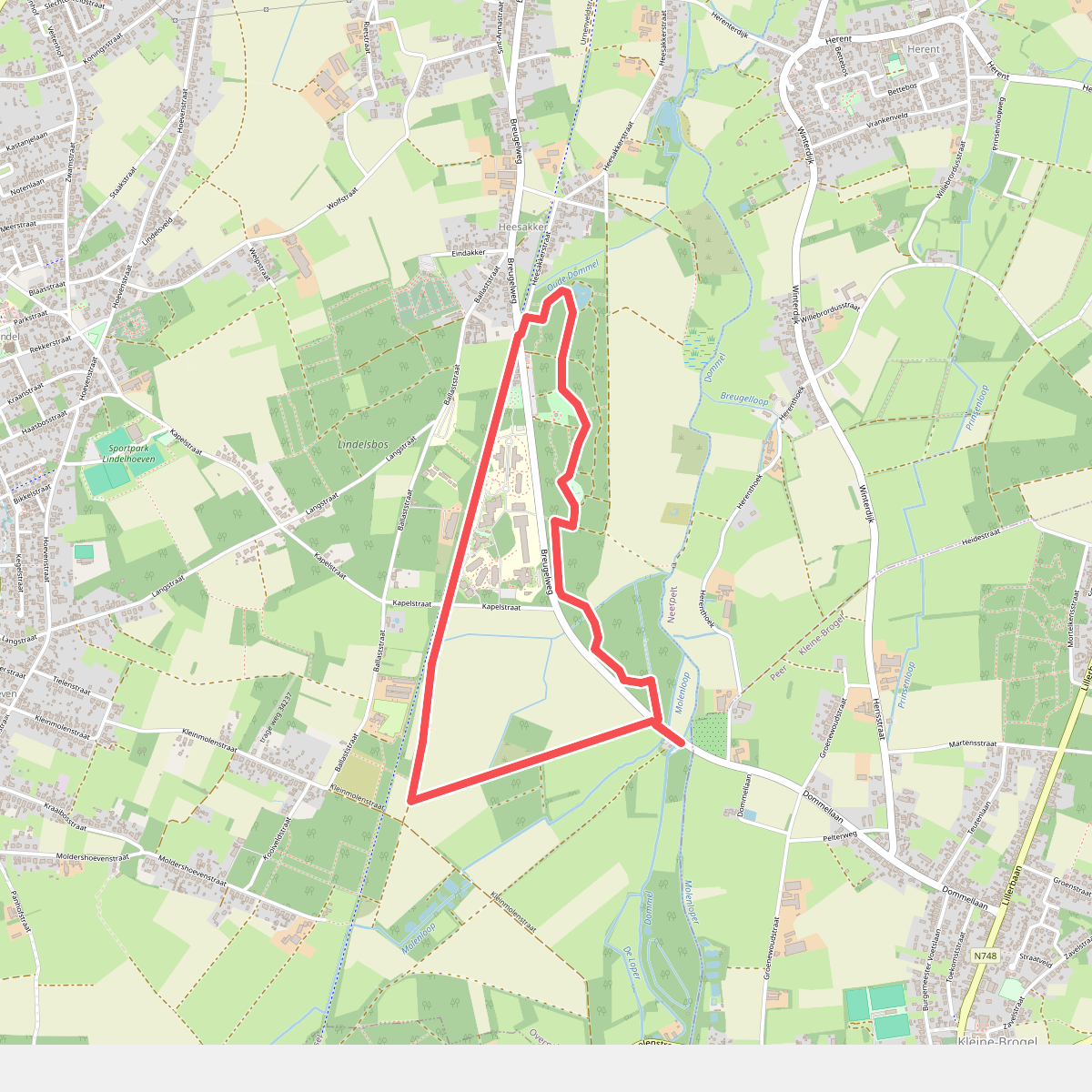 Heesakkerheide Pelt - Oranje