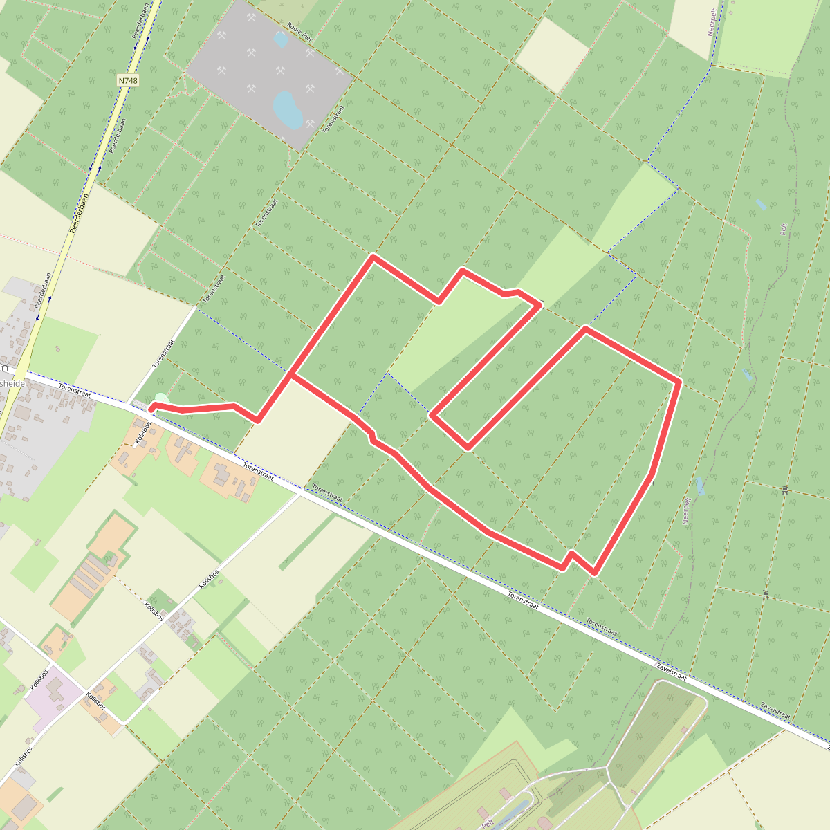De Groote Heide: Kolisbos - Groen