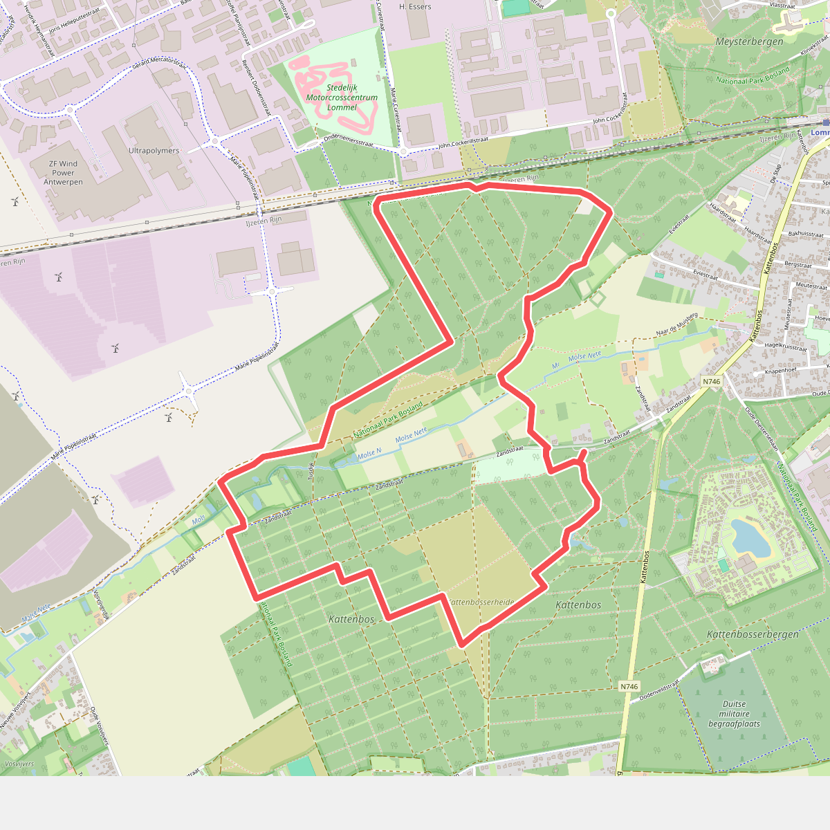 Kattenbos - Oranje (Kijkwandeling)