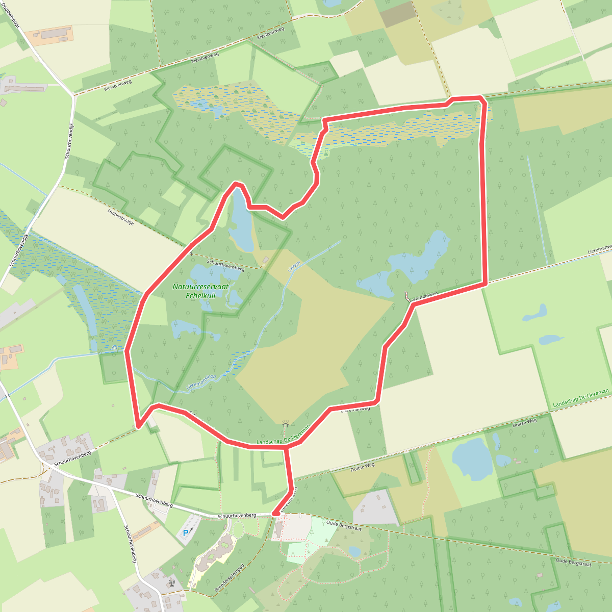 Echelkuilpad