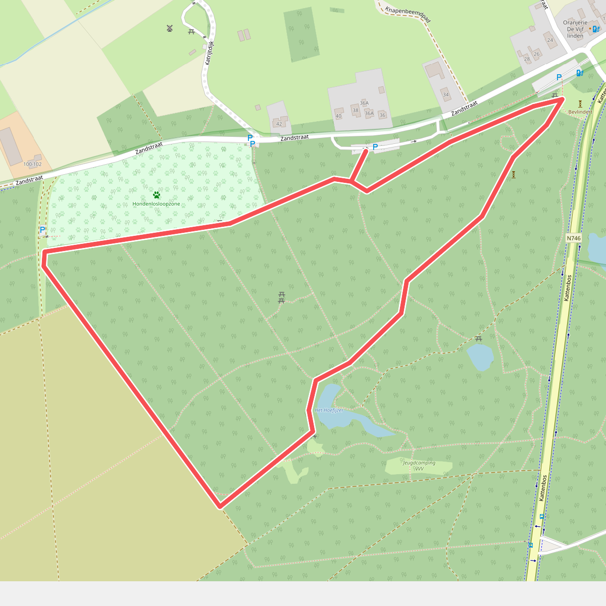Kattenbos - Groen (Vlinderwandeling)