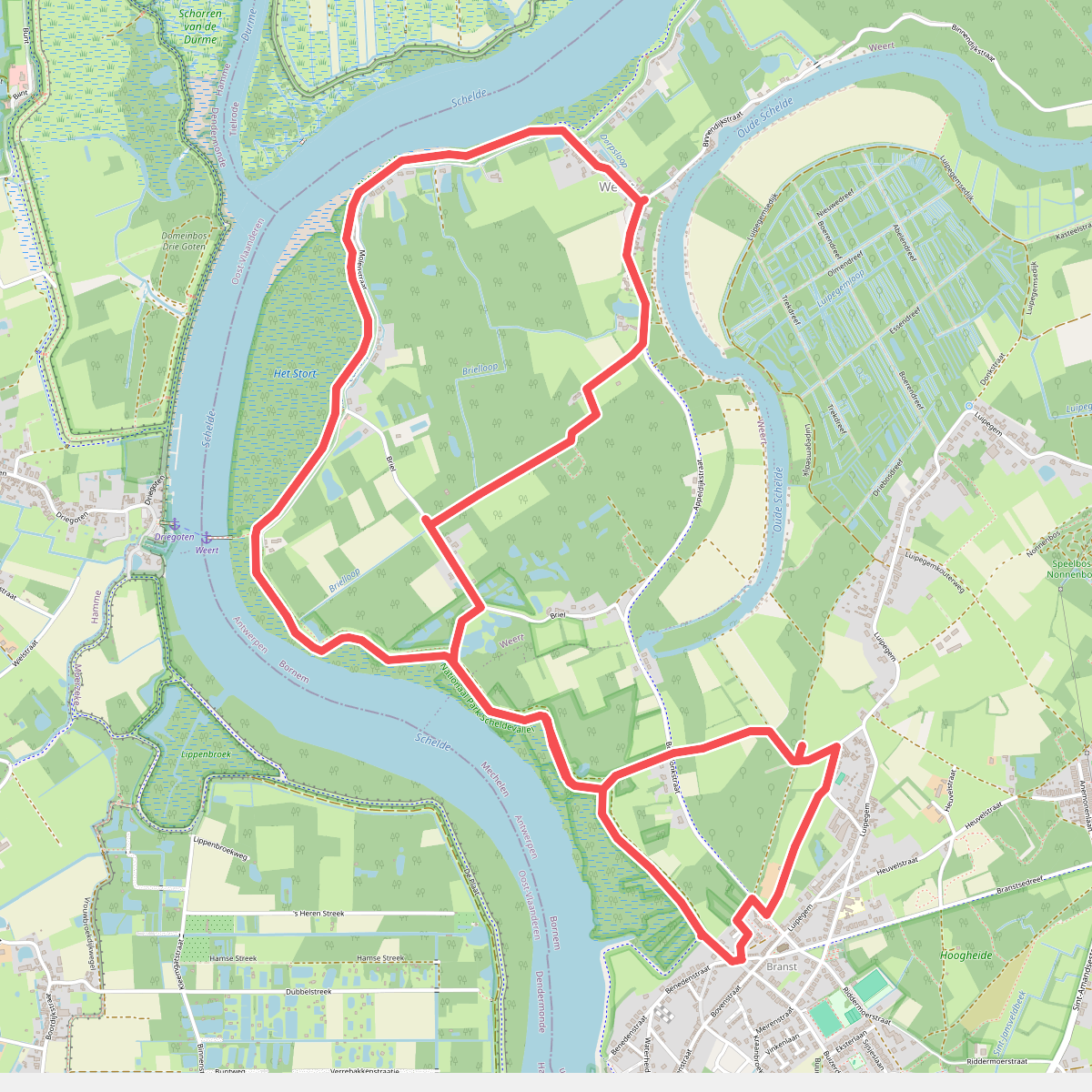 Stiltepad Weert