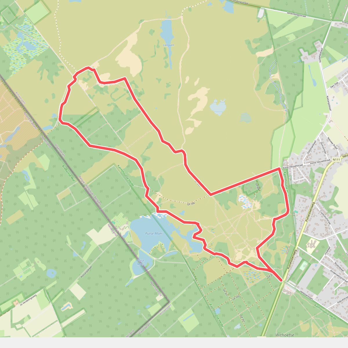 Kalmthoutse Heide - Schaap