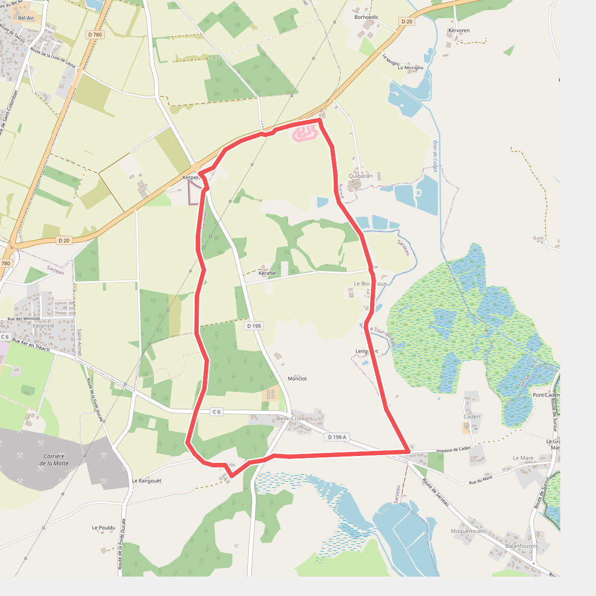Au cœur de la forêt