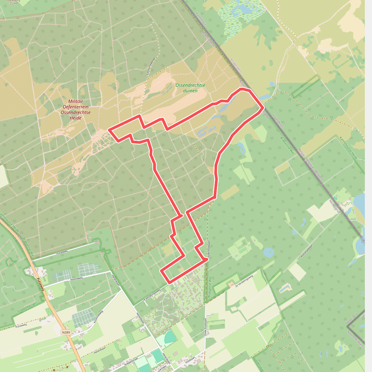 Kalmthoutse Heide - Mier