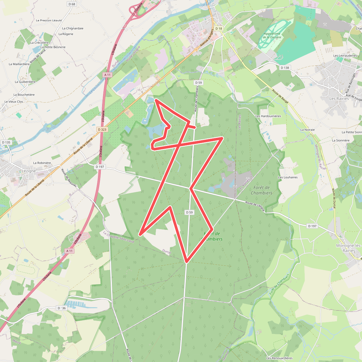 Circuit en forêt de Chambiers