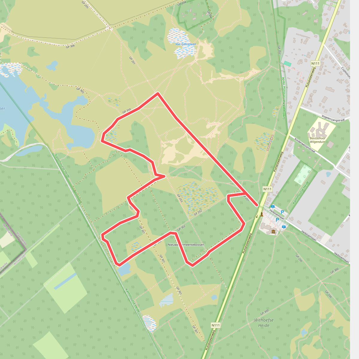 Kalmthoutse Heide - Bos