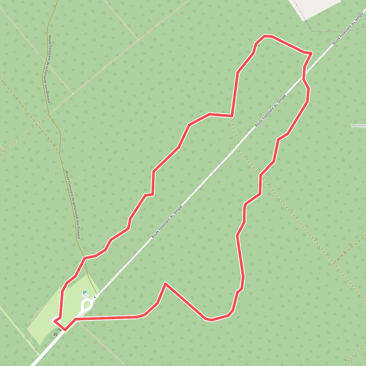 Sur les Traces des Salamandres