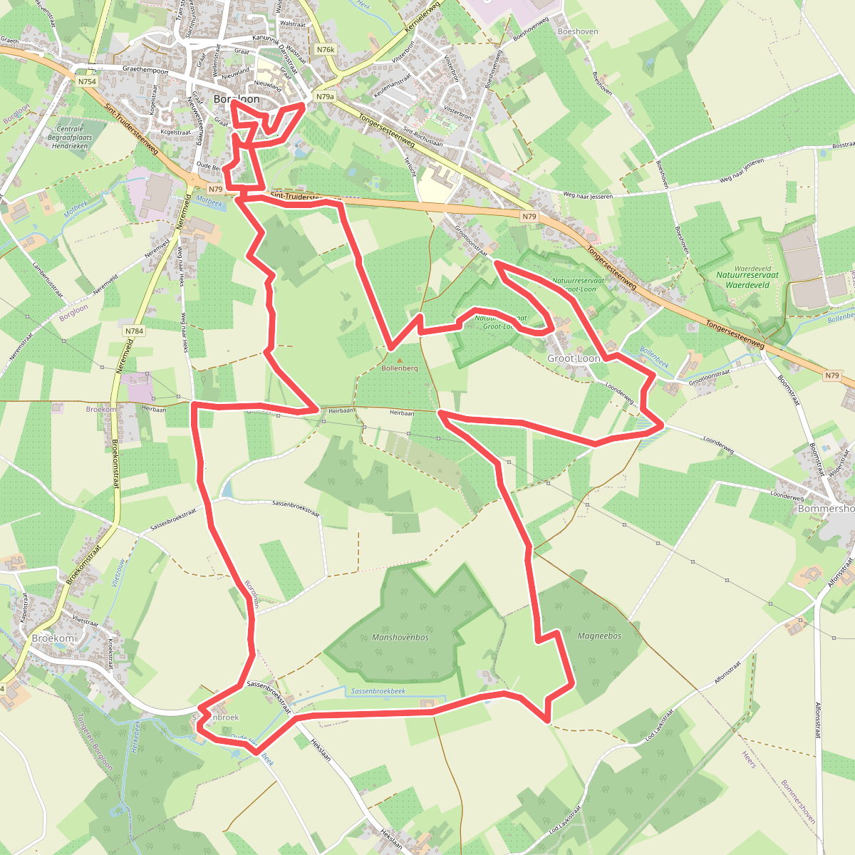 Greenspot Grootloon (Gele lus)