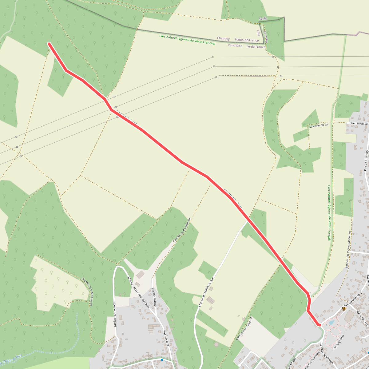Bois de la Tour du Lay