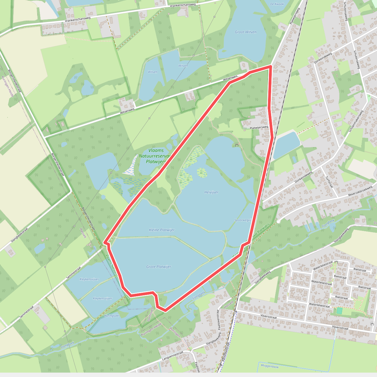 Platwijers Wijvenheide - Groen