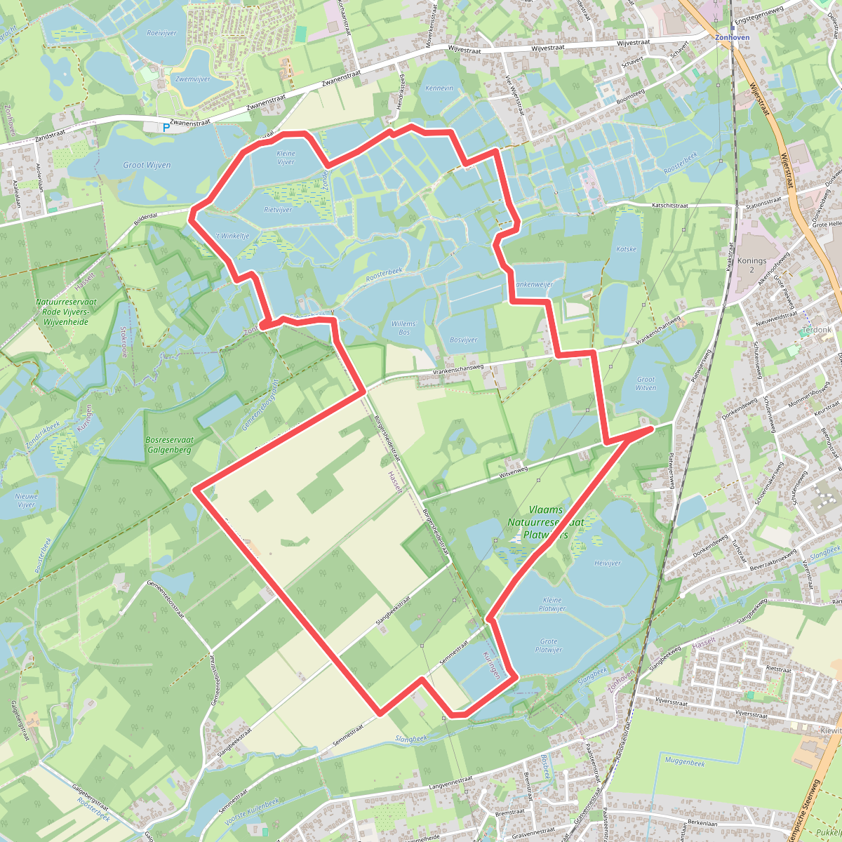 Platwijers Wijvenheide - Rood