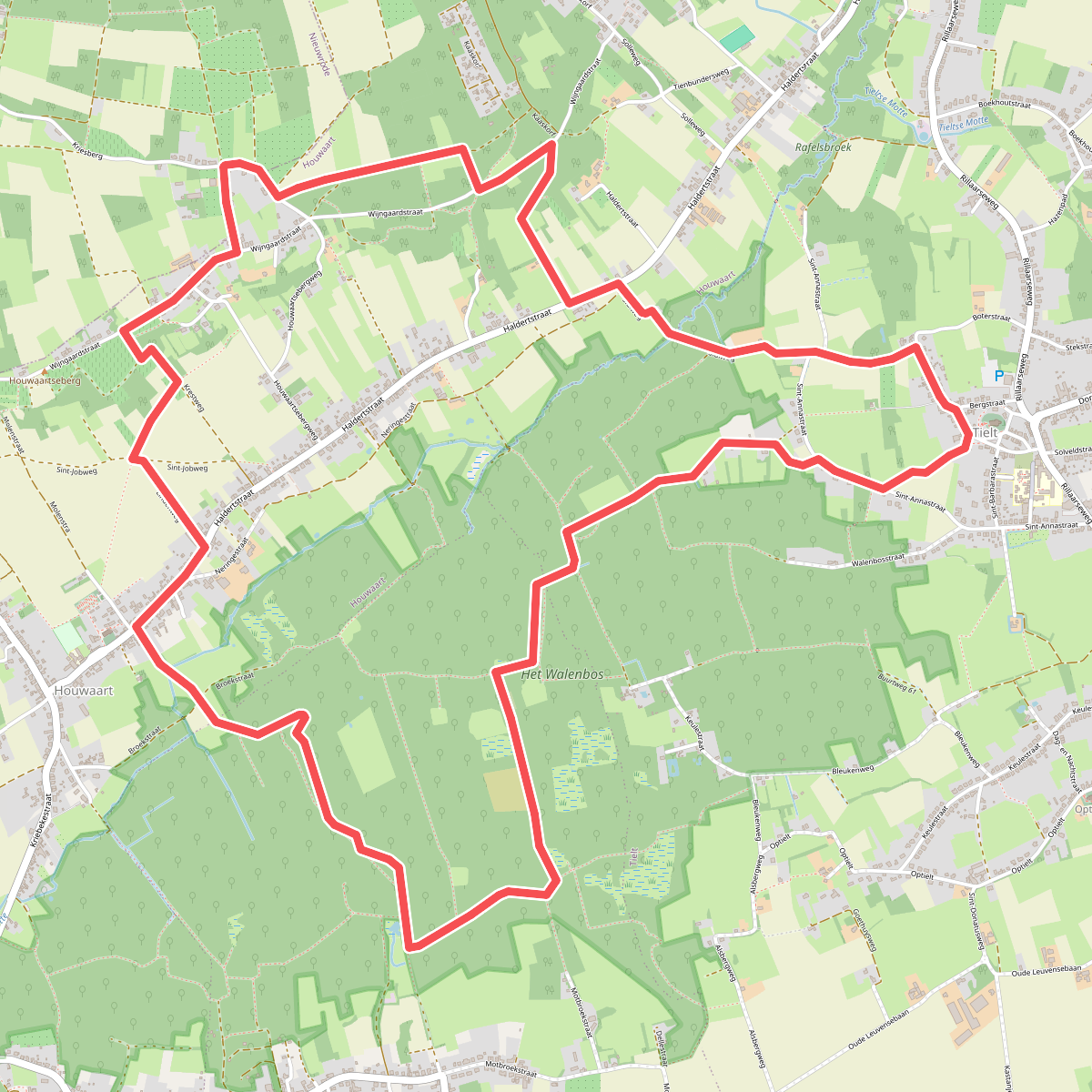 Van Berg tot Bergwandeling