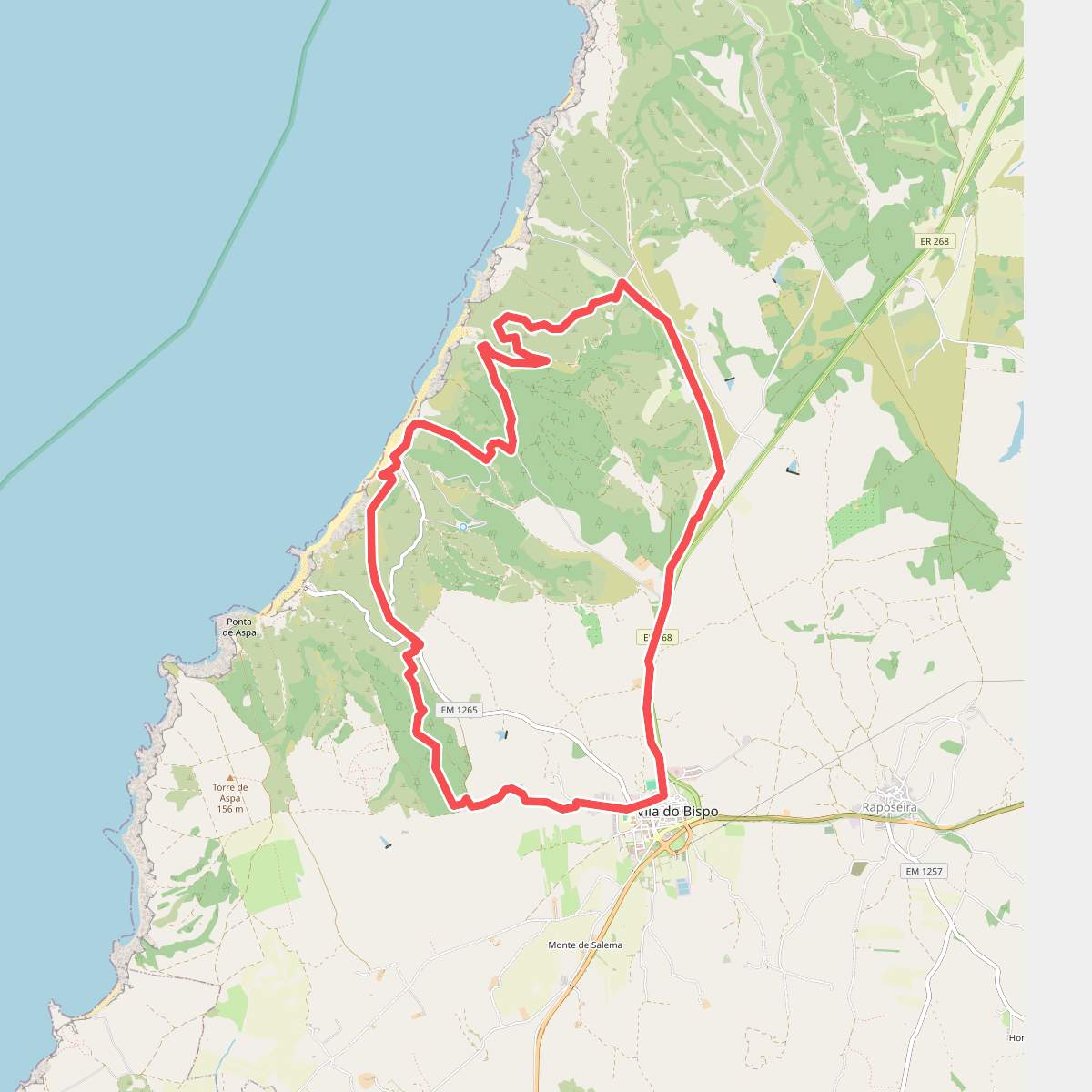 Cordoama (longo)