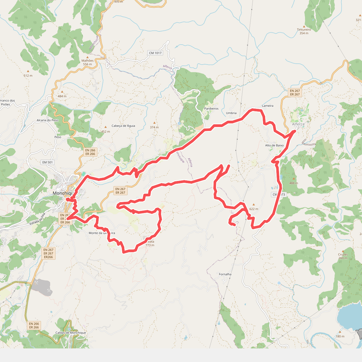 Circuito da Picota (Rota das Árvores Monumentais)