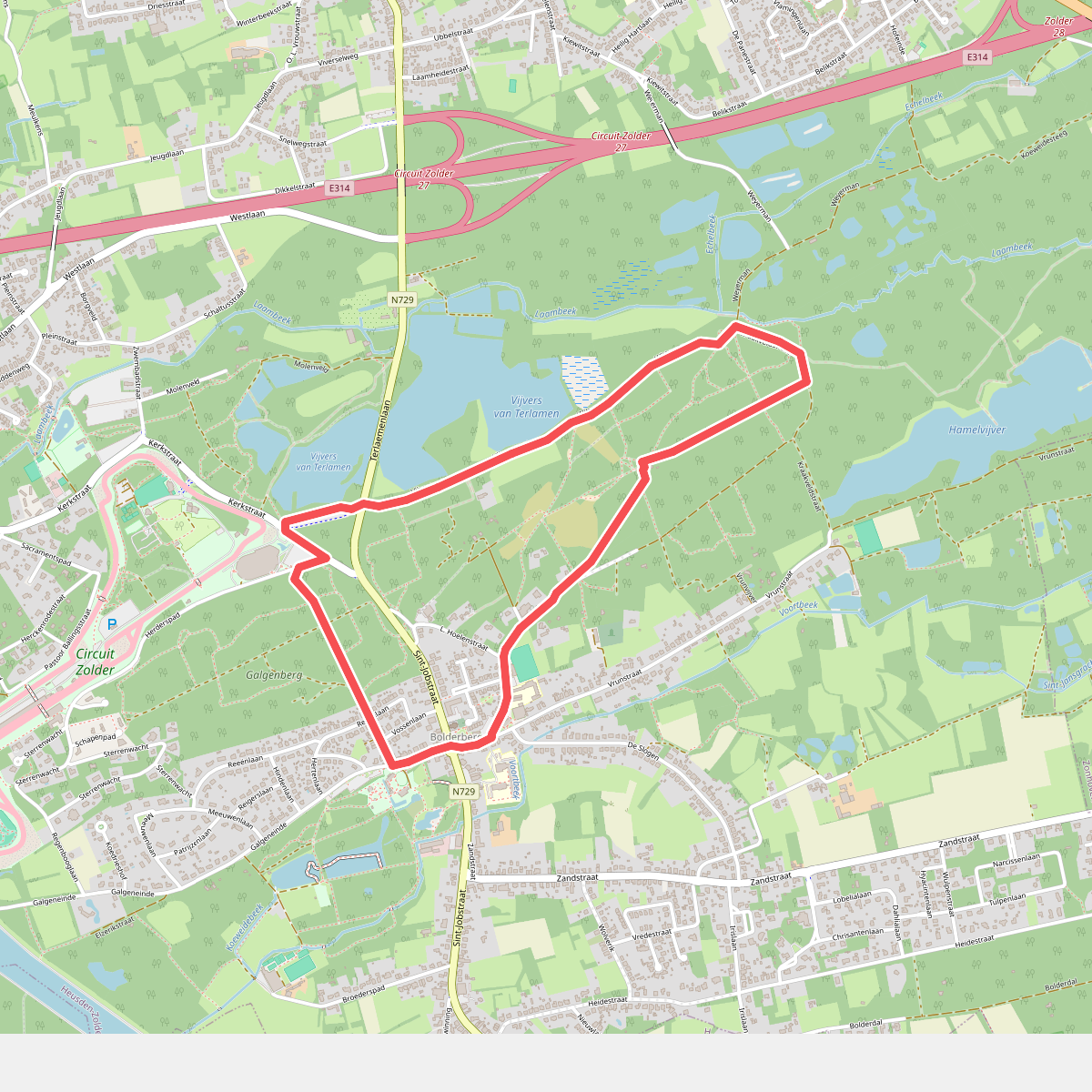 Bolderberg-Viversel (Blauwe lus)