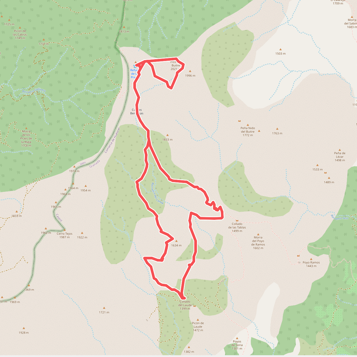 Cerro del Buitre