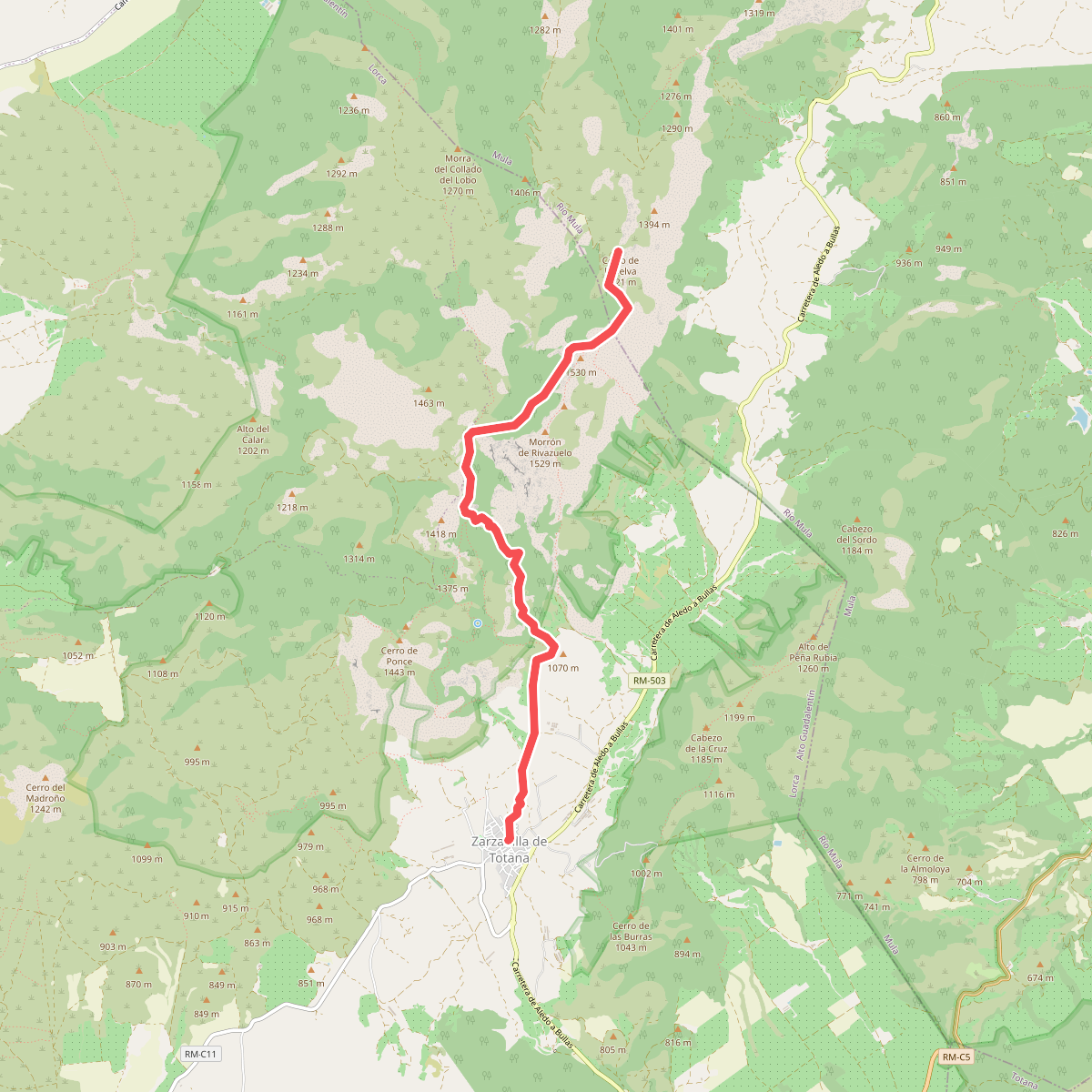 Sendero del Cerro de la Selva