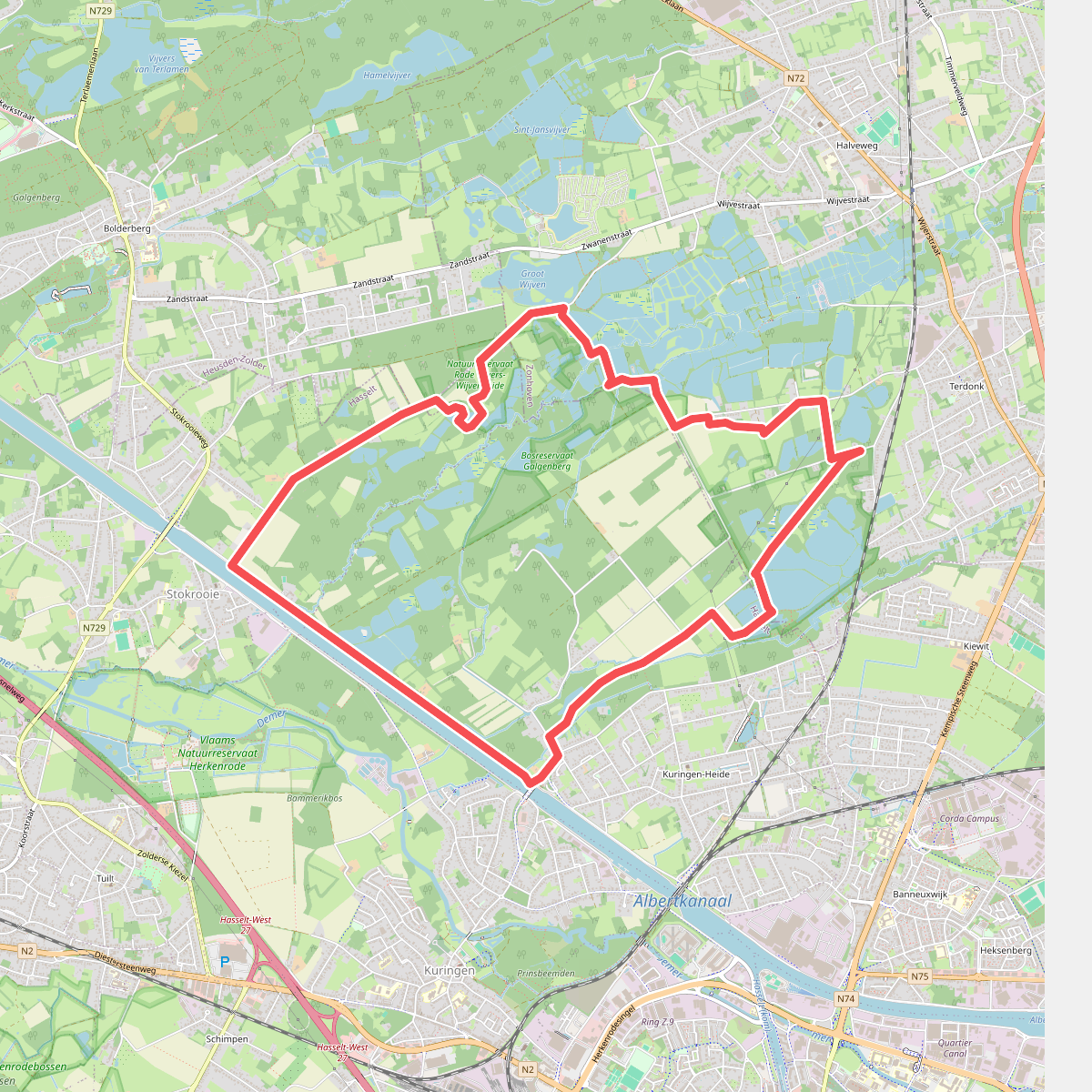 Platwijers Wijvenheide - Geel