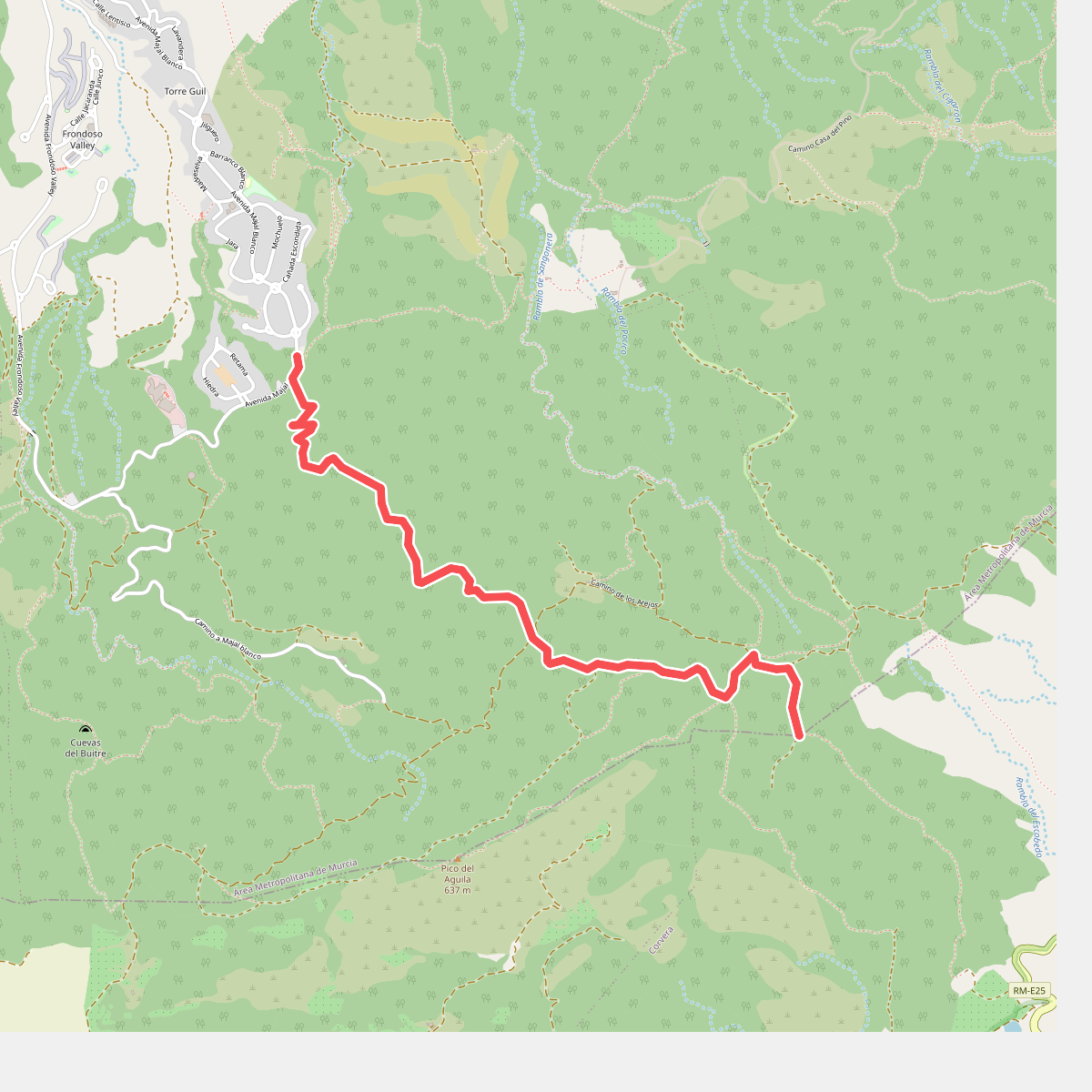 Camino de los Arejos