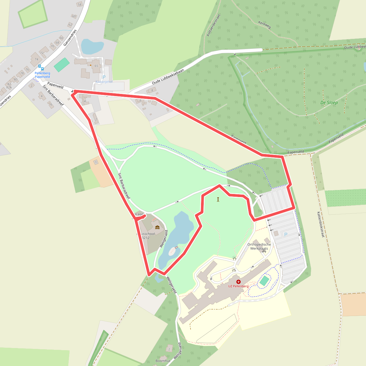 Koeboswandeling groen