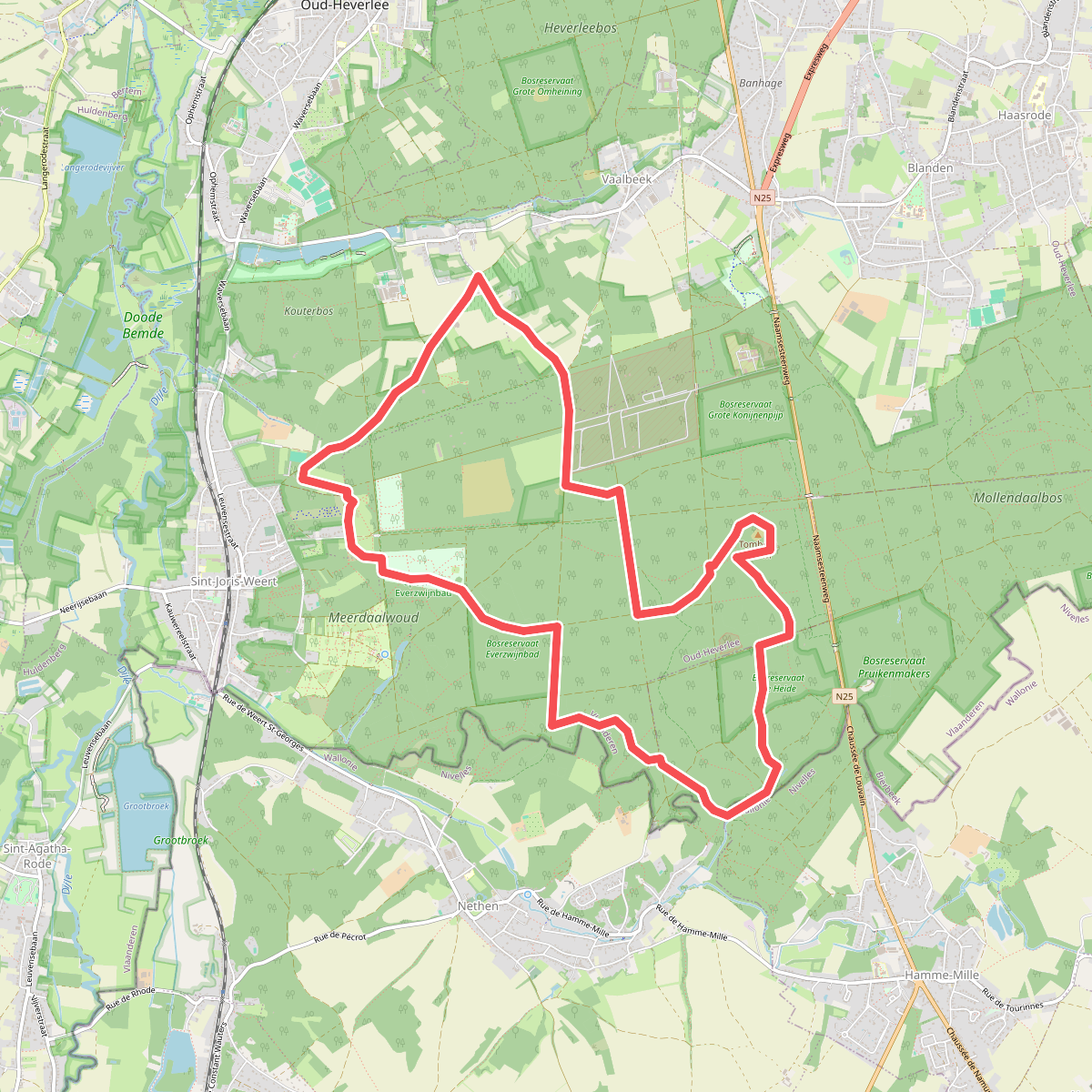 Dikke Beukwandeling