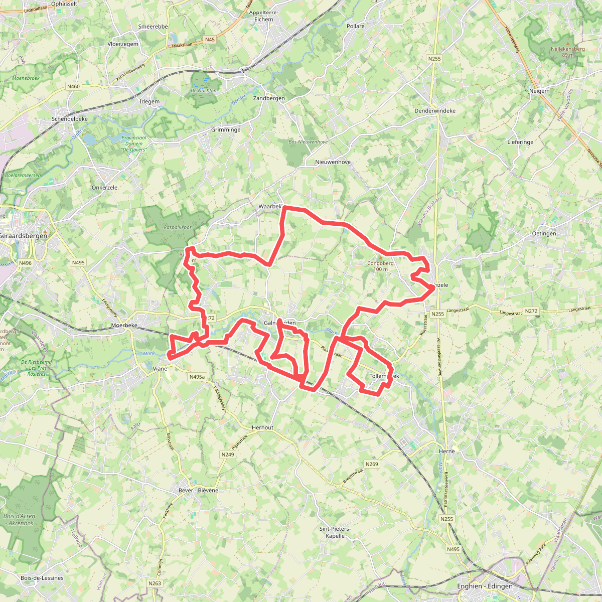 Ringmuswandeling zwart