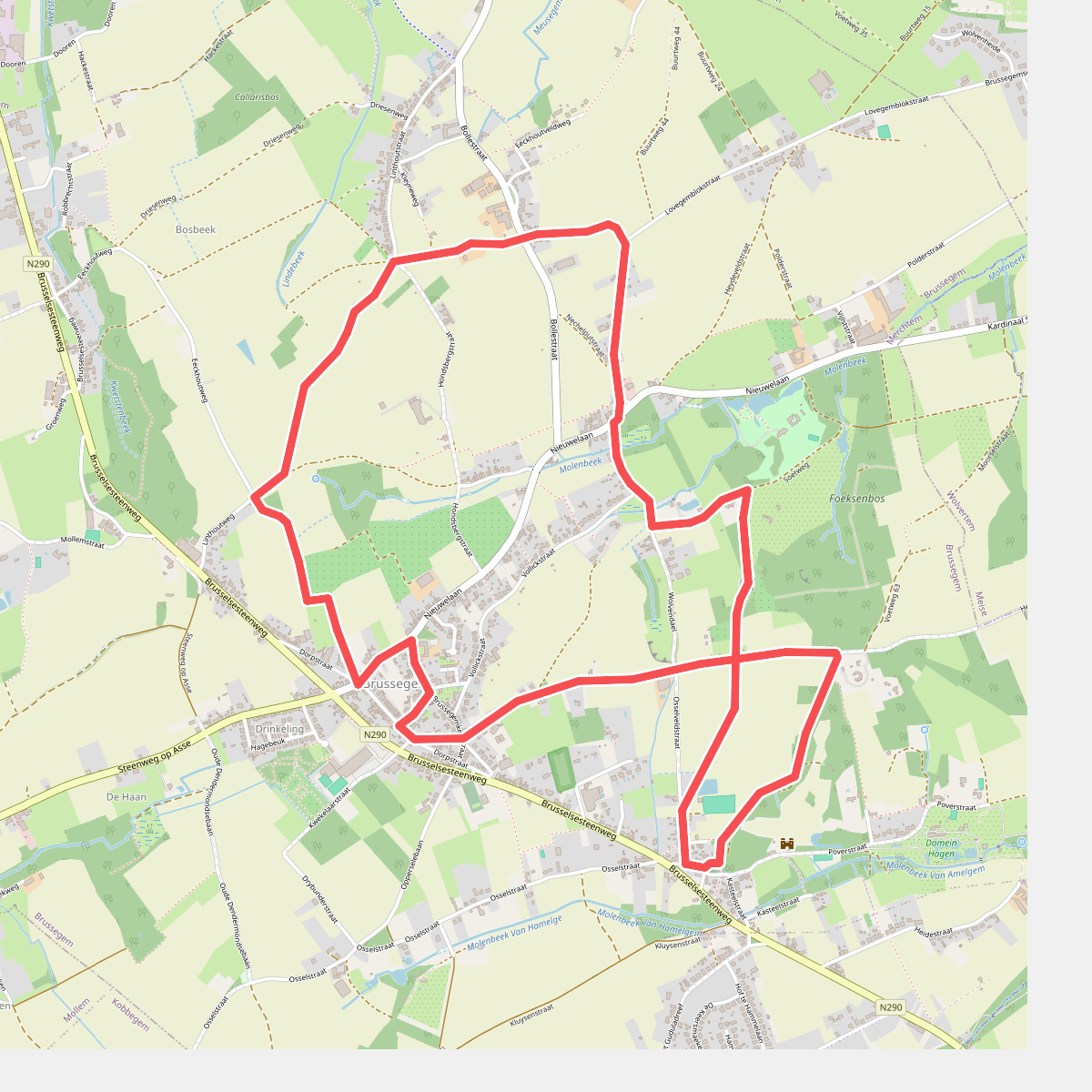 Foeksenboswandeling