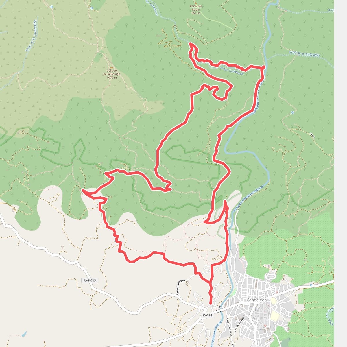 La Raya-Arroyo de Castañarejo