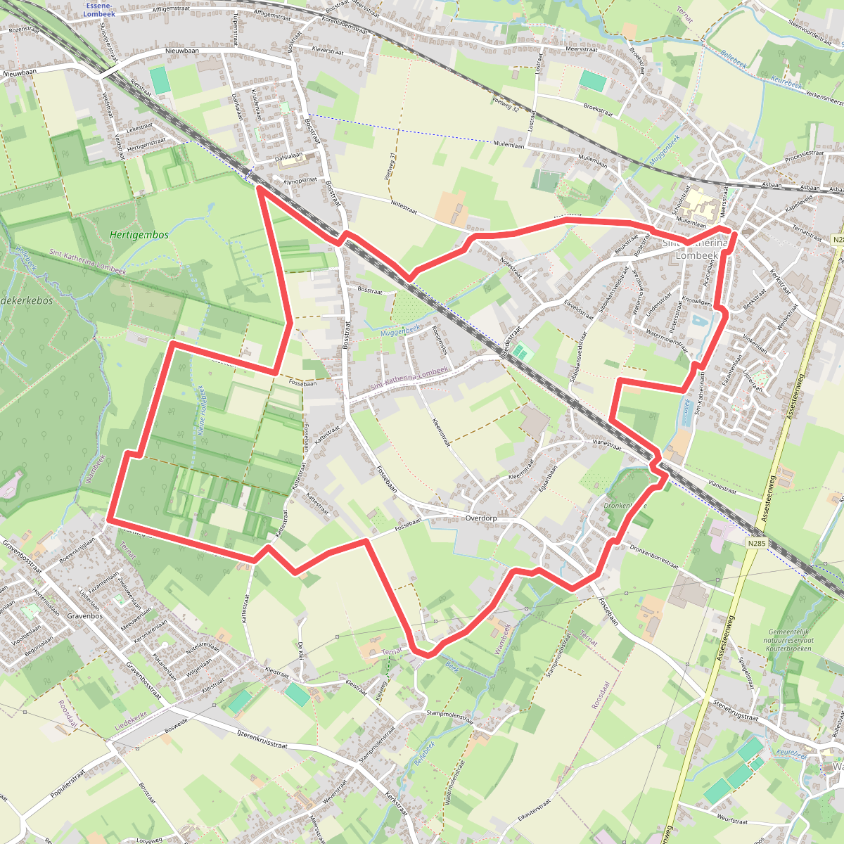 Knotwilgenwandeling