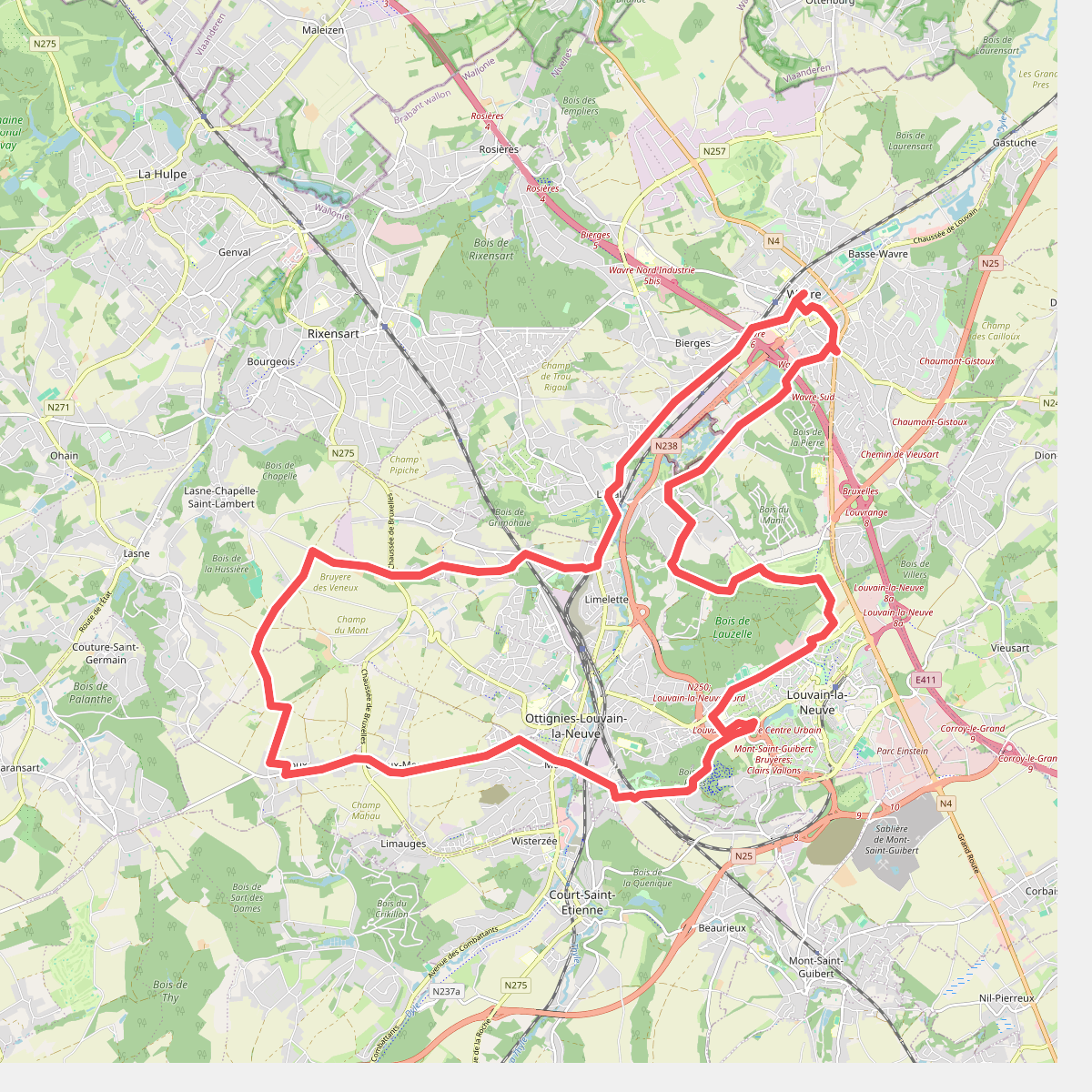 Witloofwandeling