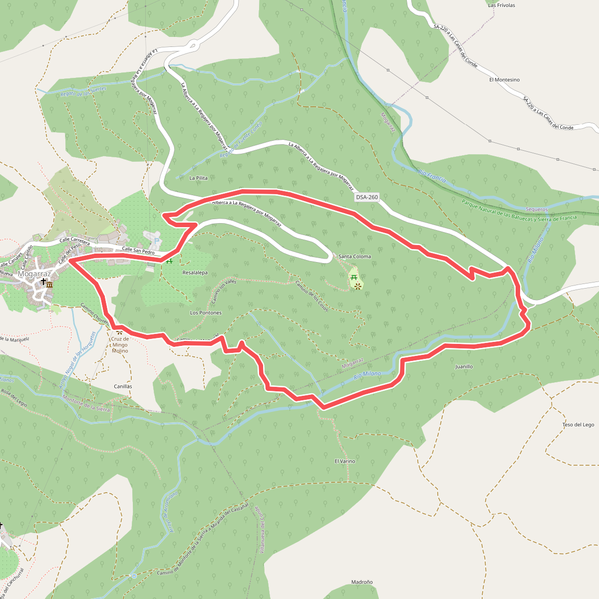 Camino de la Dehesa de Mogarraz