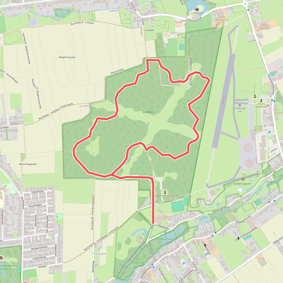 Lintboswandeling