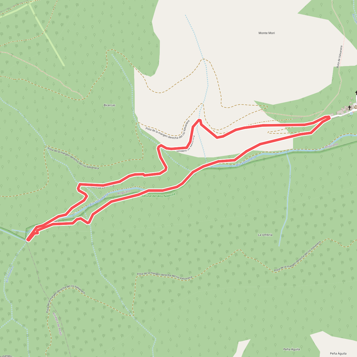 Sendero de Valvanera