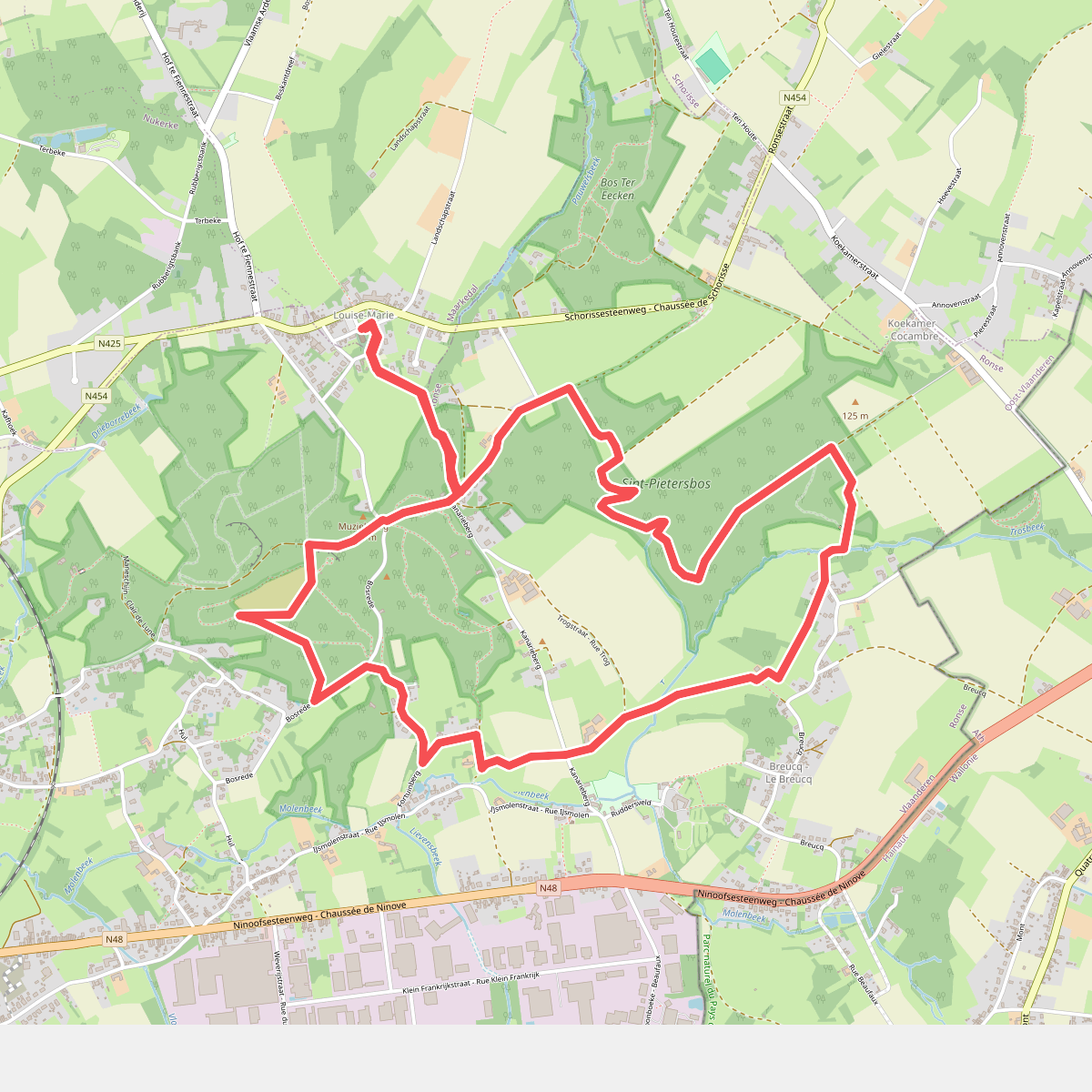 Trage wegenwandeling Muziekbos - Sint-Pietersbos