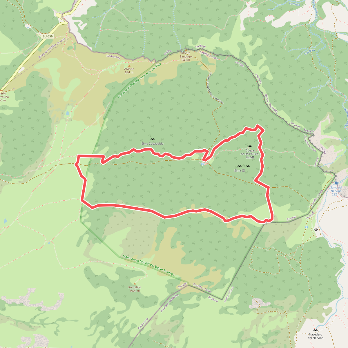 Circular del Bosque