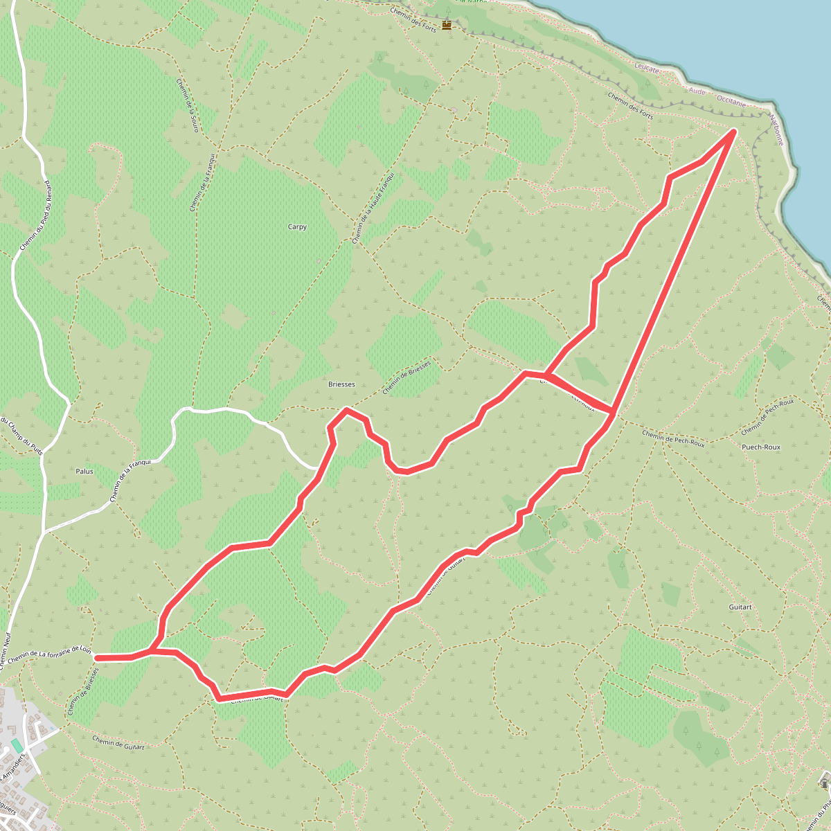 Chemin du plateau de Leucate