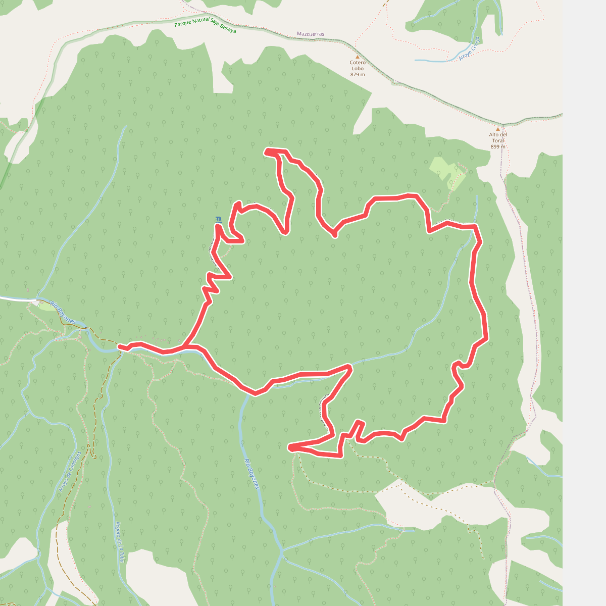Ruta del Hayacorva