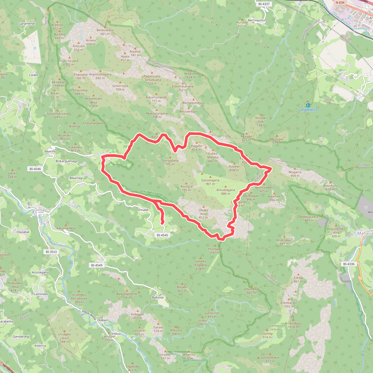 Ikazkinen bidea