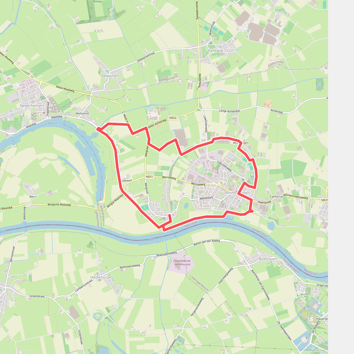 Well Baanbrekerpad