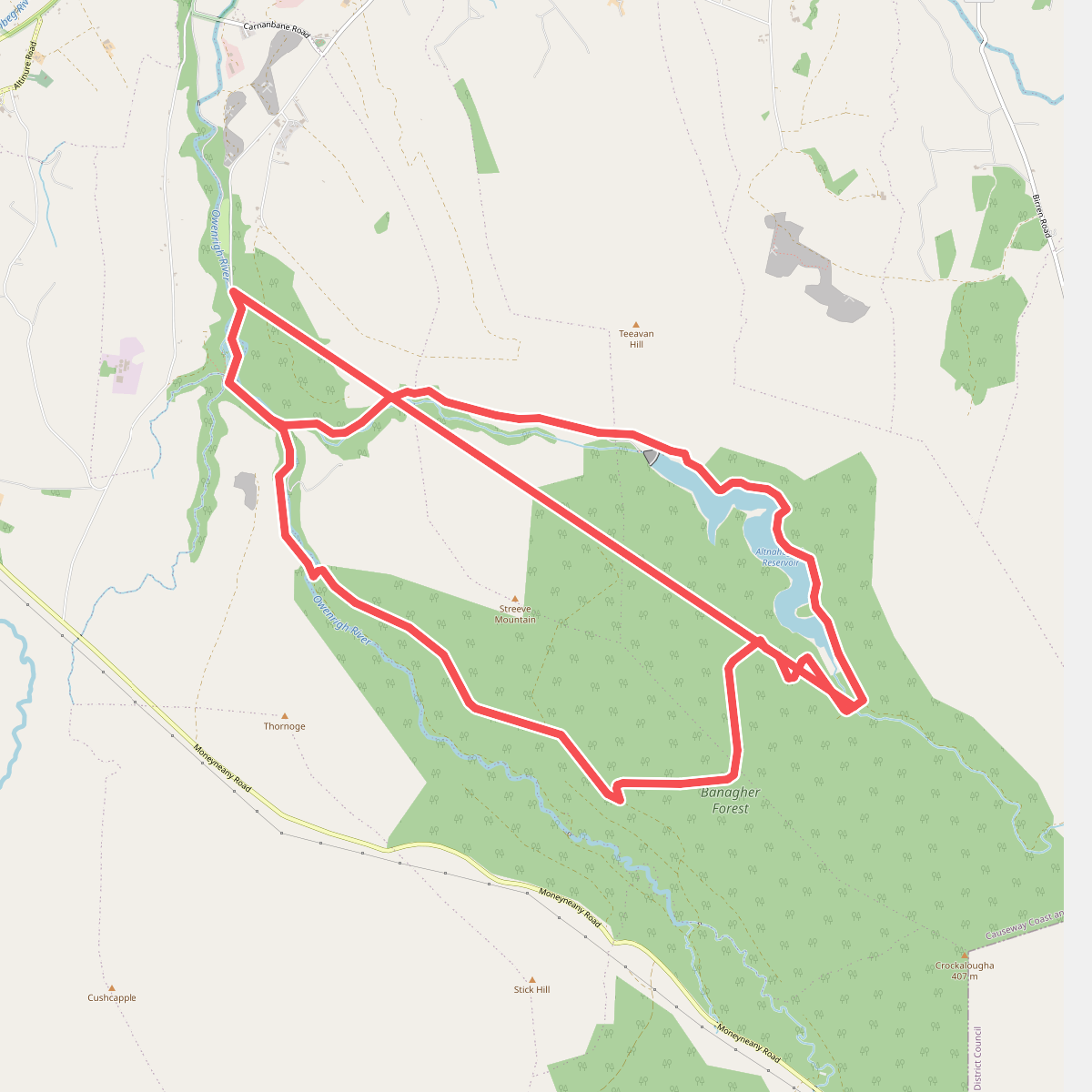 Banagher Glen - Forest Trail