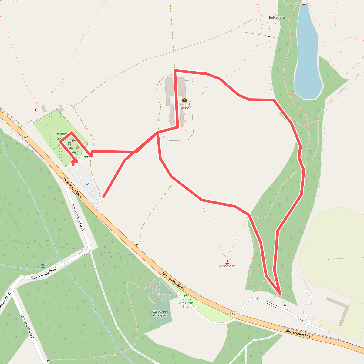 Earl Bishop's Tree Trail, Downhill
