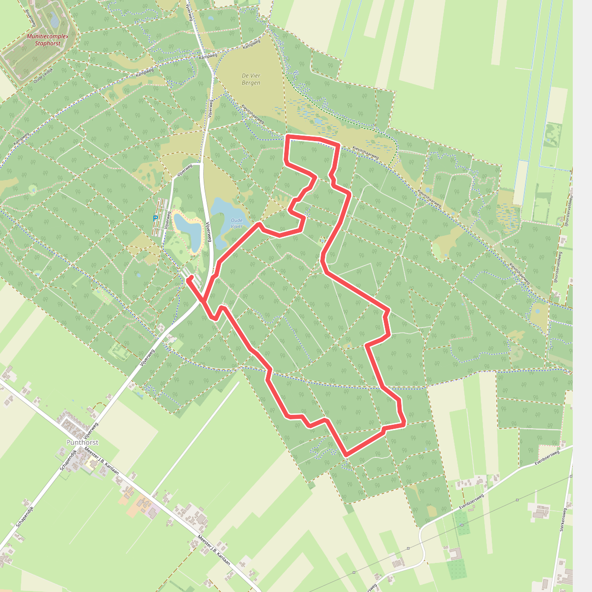 Zwarte Dennen - Geel
