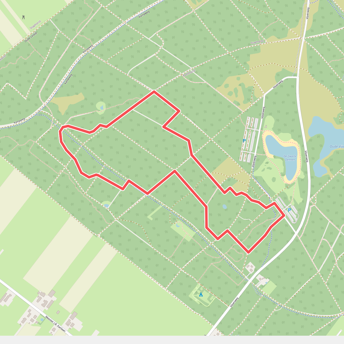 Zwarte Dennen - Rood