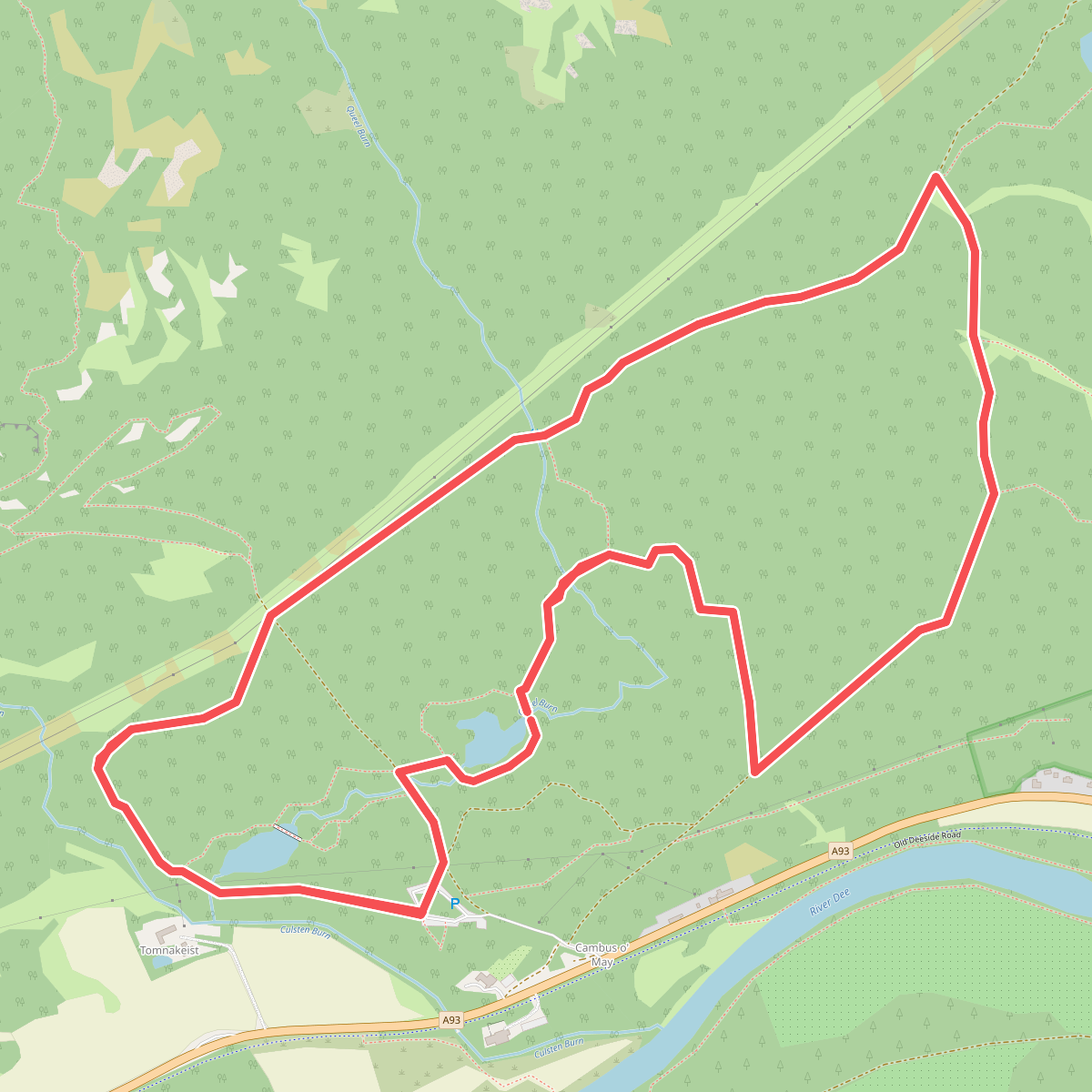 Pine Tree Trail
