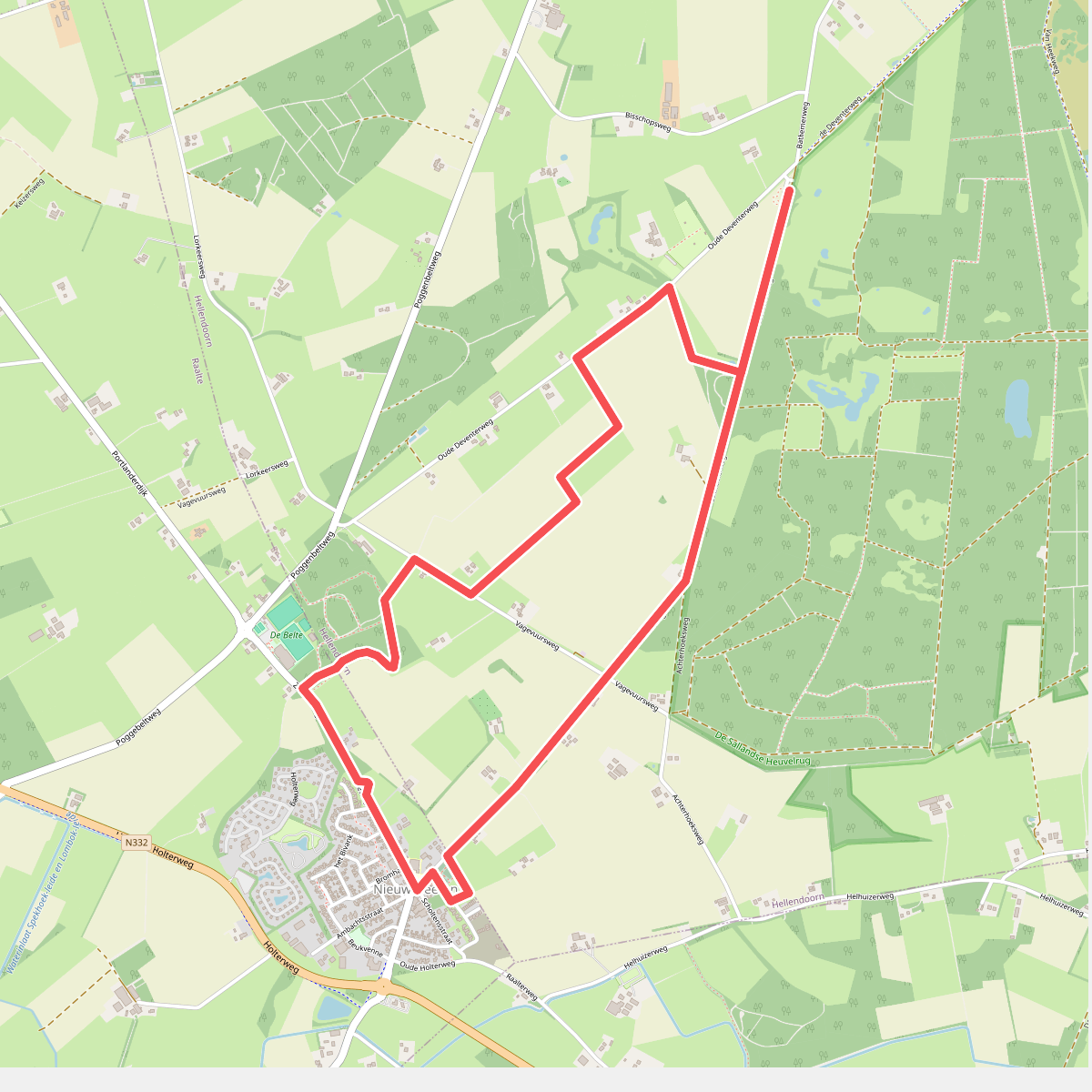 Zuidbroek - Paars