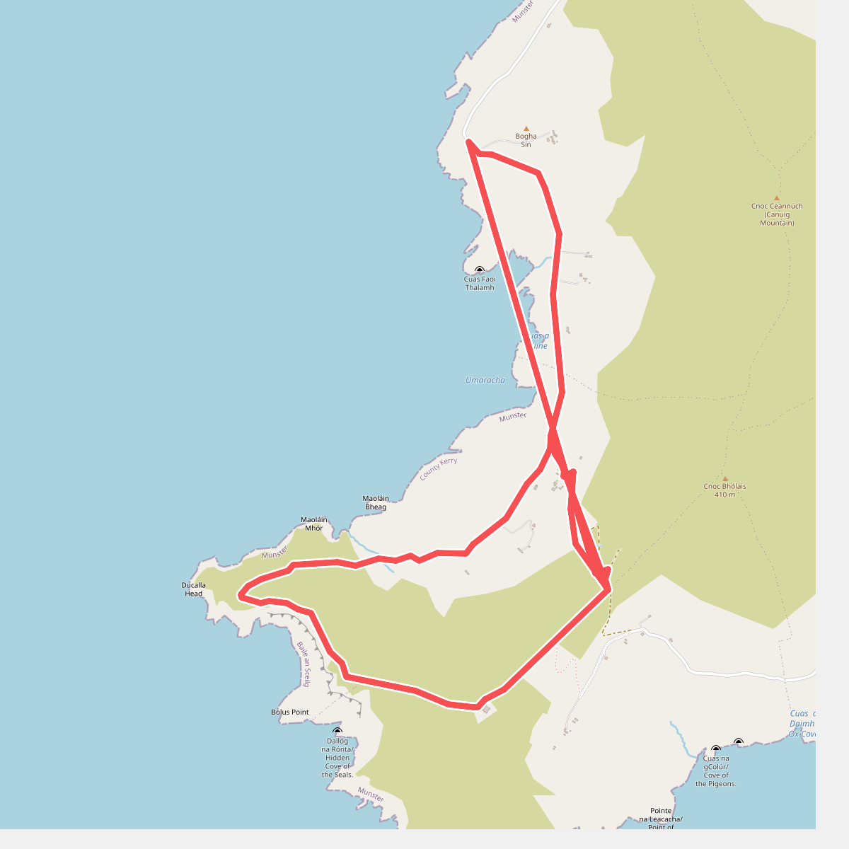 Bolus Head Loop