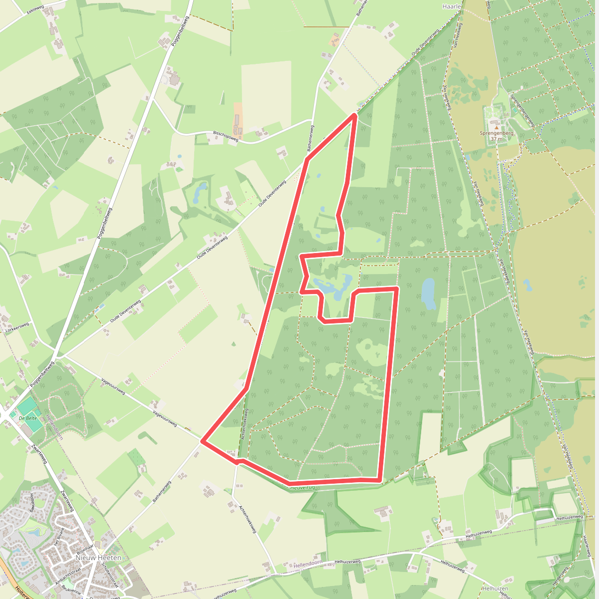 Zuidbroek - Rood